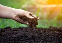 סקר גז קרקע – למה ולמי זה חשוב?