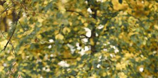 לשחרר לחצים בצורה בטוחה ומזדמנת