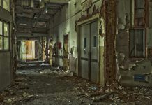 דלתות פנים ומטבחים