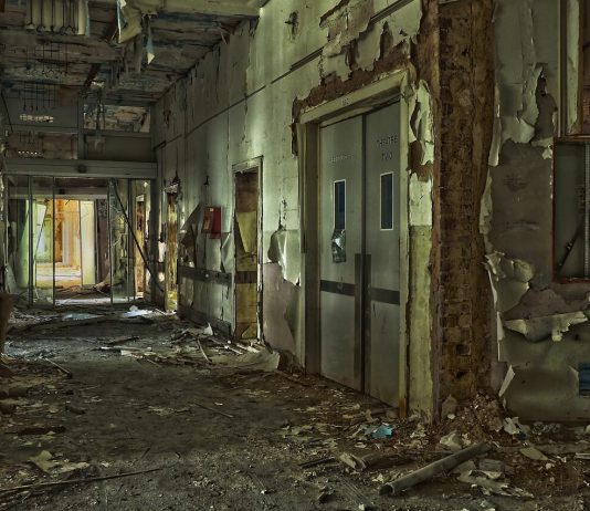 דלתות פנים ומטבחים