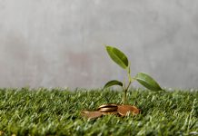 שוקלים להשקיע בקרקע בנדל"ן? החסרונות והיתרונות שאתם חייבים להכיר!