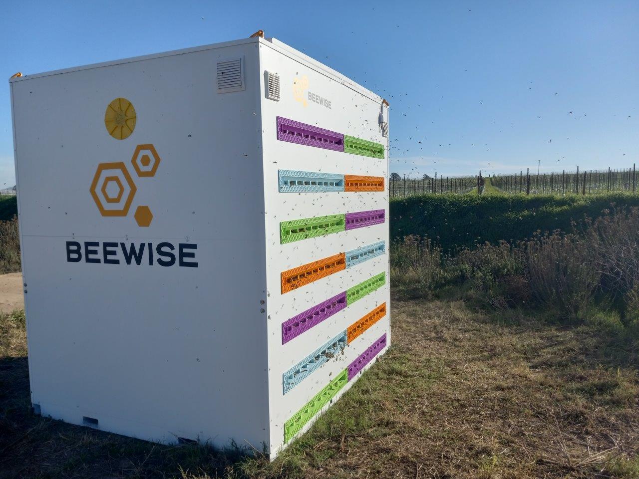 "חקלאי גרנות" חתמה על הסכם שיתוף פעולה עם חברת Beewise להטמעת כוורות רובוטיות במטעי האבוקדו