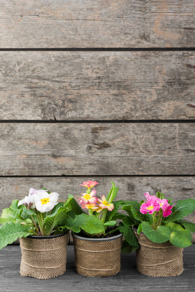 צמחייה מלאכותית עמידה לשמש